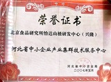 13、2007.5河北省中小企业产业集群技术服务中心.jpg